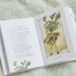 Flower Fairies of The Winter Book