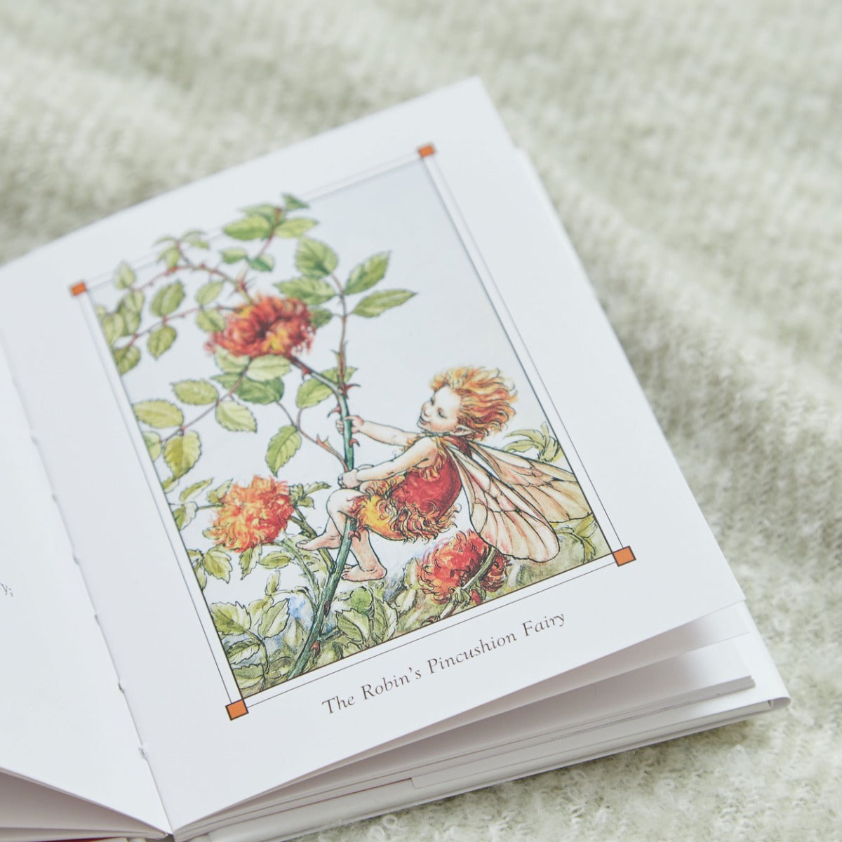 Flower Fairies of The Autumn Book
