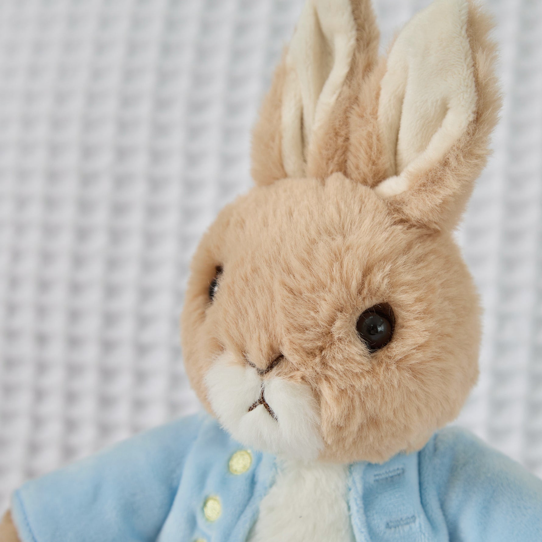 Personalised Peter Rabbit Large Soft Toy