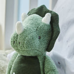 Personalised Green Dinosaur Plush Toy 