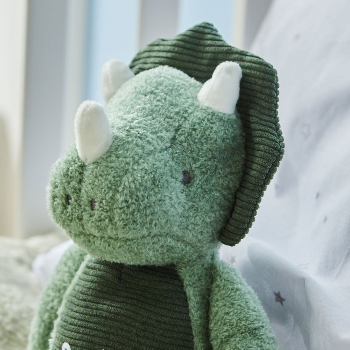 Personalised Green Dinosaur Plush Toy 