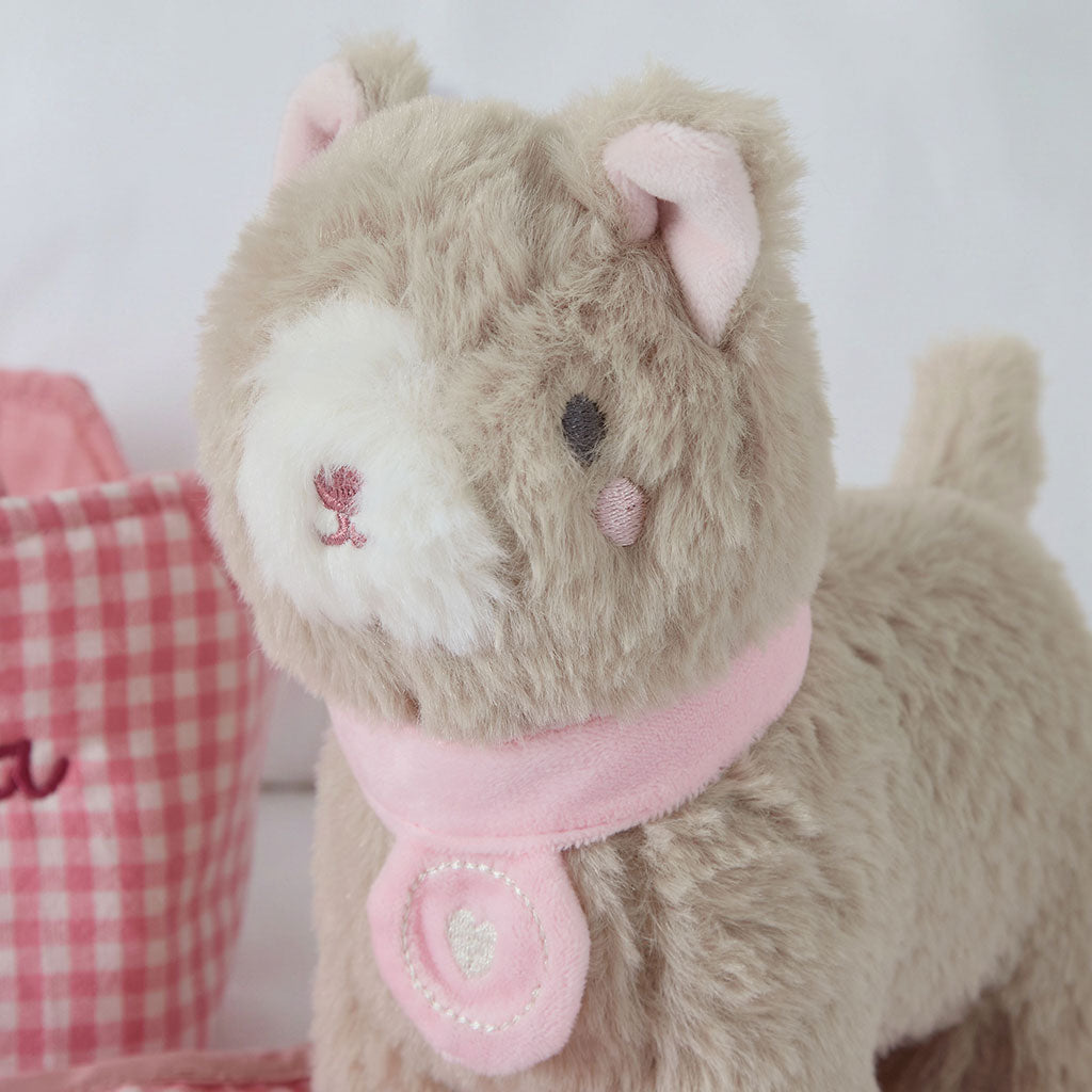 Personalised Carry Along Cat Plush Toy
