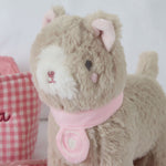 Personalised Carry Along Cat Plush Toy