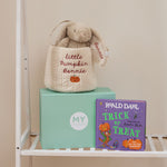 Personalised Halloween Trick or Treat Read, Snuggle and Hunt Gift Set