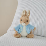 Personalised Peter Rabbit Large Soft Toy
