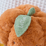 Personalised Pumpkin Soft Toy