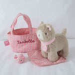 Personalised Carry Along Cat Plush Toy