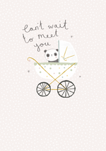 Personalised Panda New Baby Greetings Card