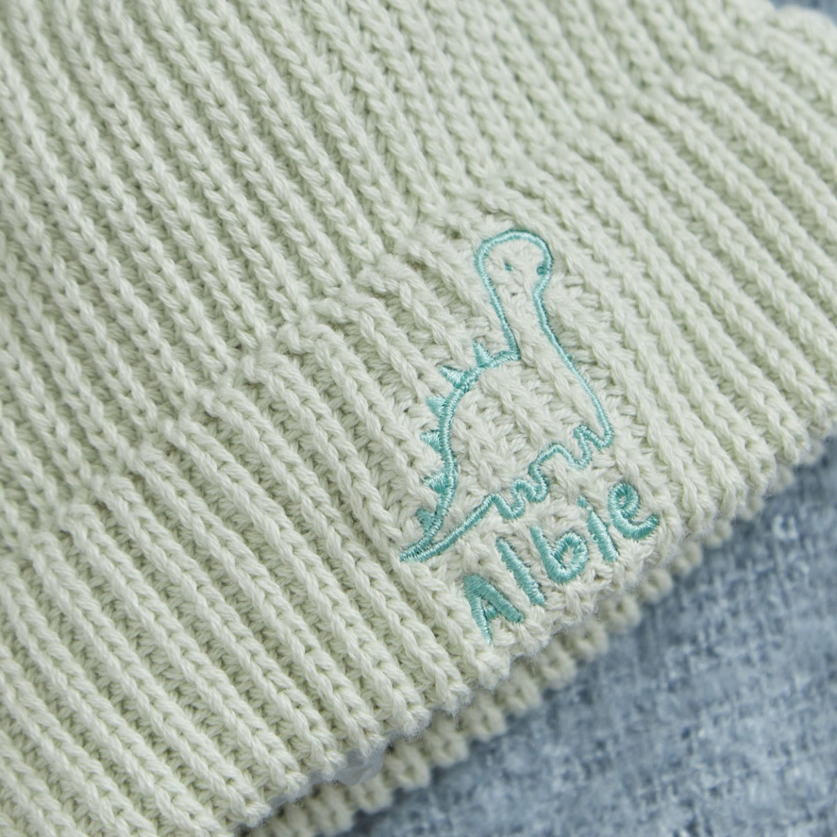 Personalised Dino Design Sage Beanie