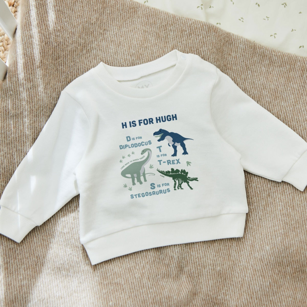 Personalised History Museum™ Dinosaur Alphabet Sweatshirt