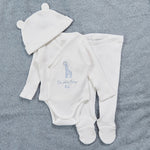 Personalised Home From The Hospital Blue Giraffe Gift Set 