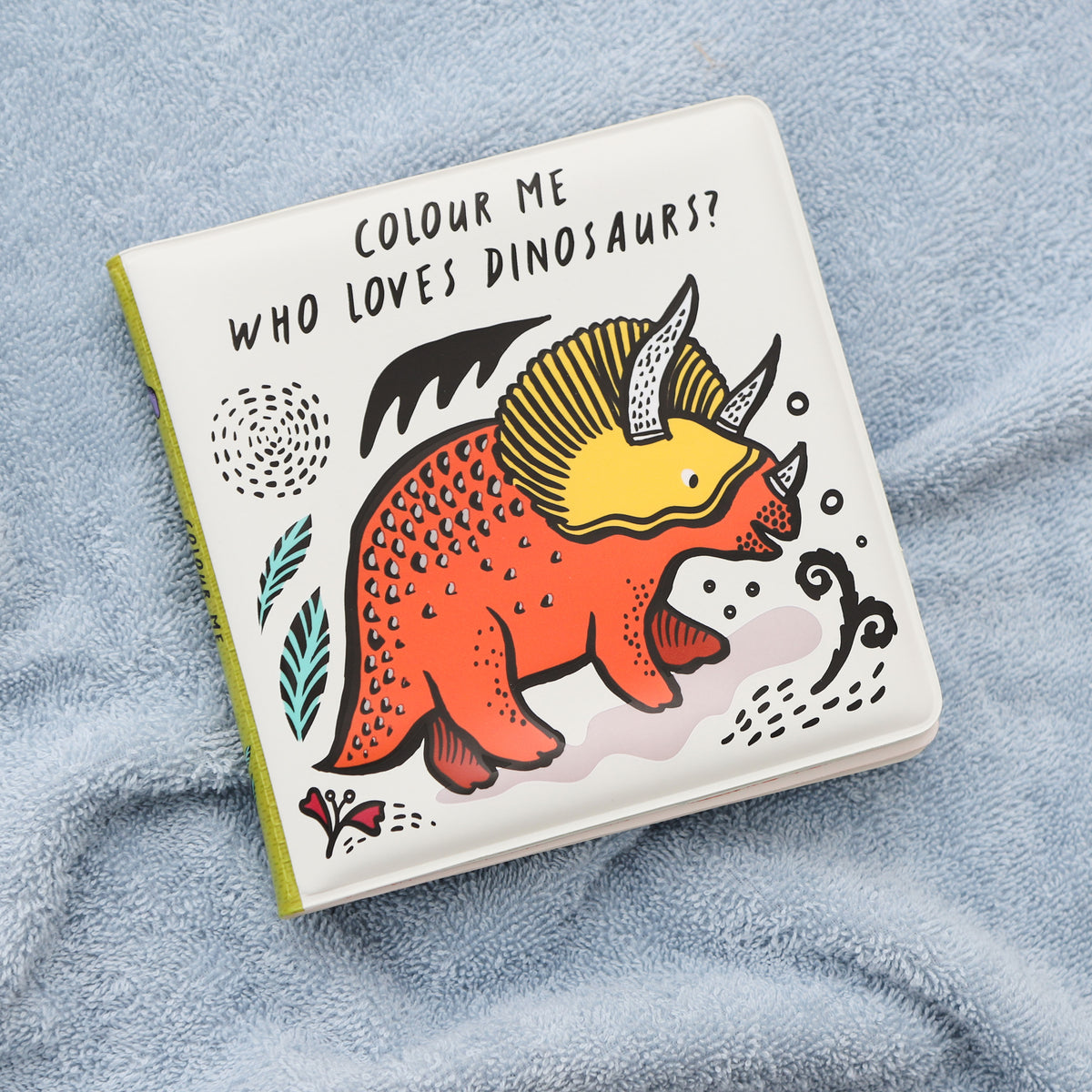 Who Loves Dinosaurs? Colour Changing Bath Book