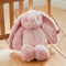 Personalised Born In 2026 Pink Bunny Soft Toy