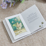 Flower Fairies Of The Spring Story Book 