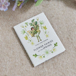 Flower Fairies Of The Spring Story Book 
