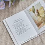 Flower Fairies Of The Spring Story Book 
