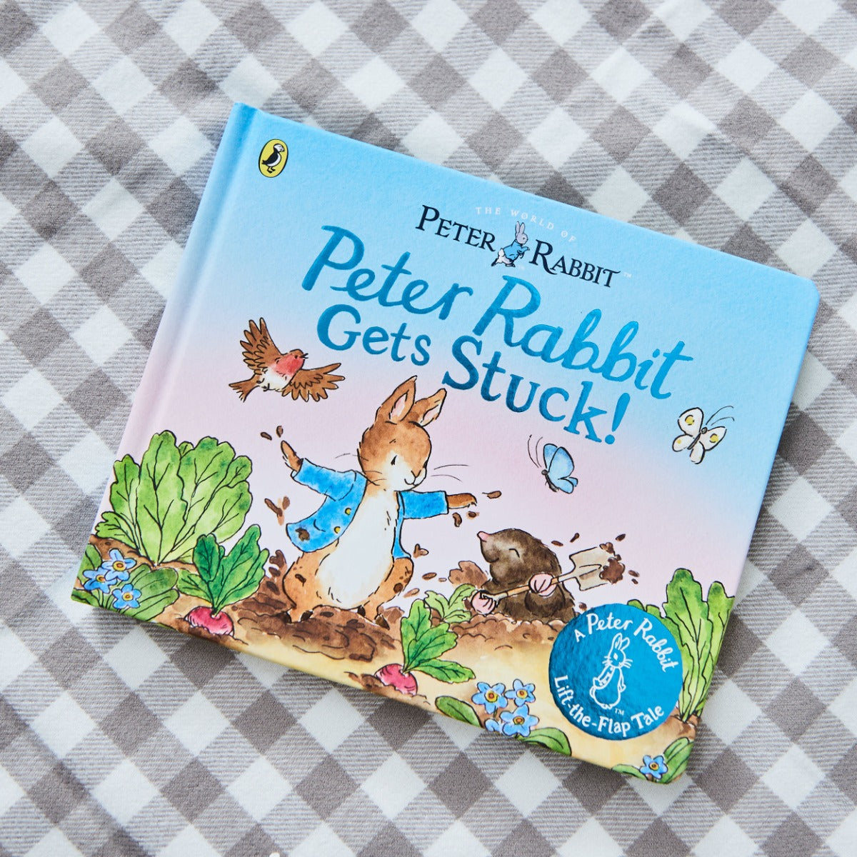 PETER RABBIT GETS STUCK BOOK BOARD BOOK (9780241709344)