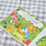 PETER RABBIT GETS STUCK BOOK BOARD BOOK (9780241709344)