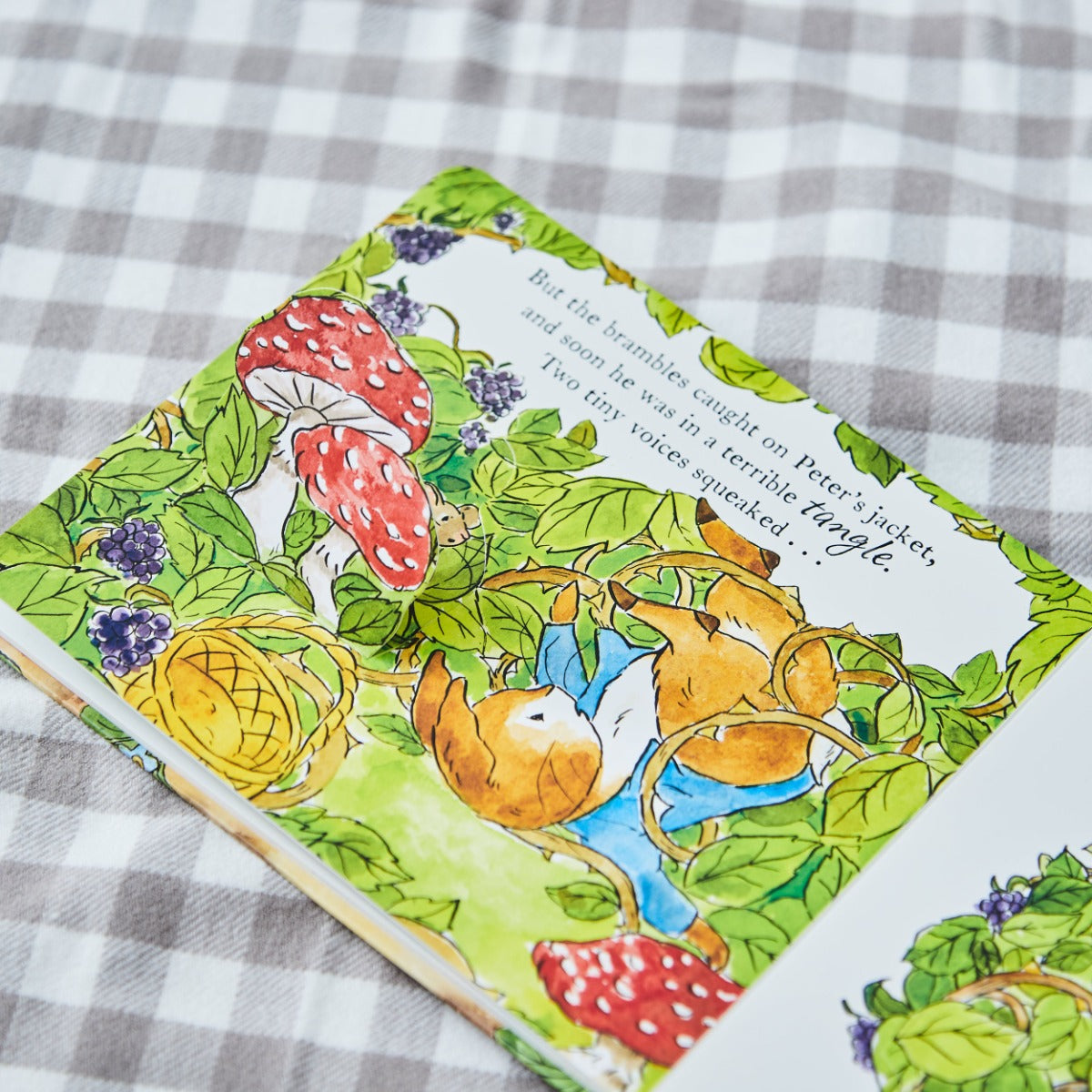 PETER RABBIT GETS STUCK BOOK BOARD BOOK (9780241709344)