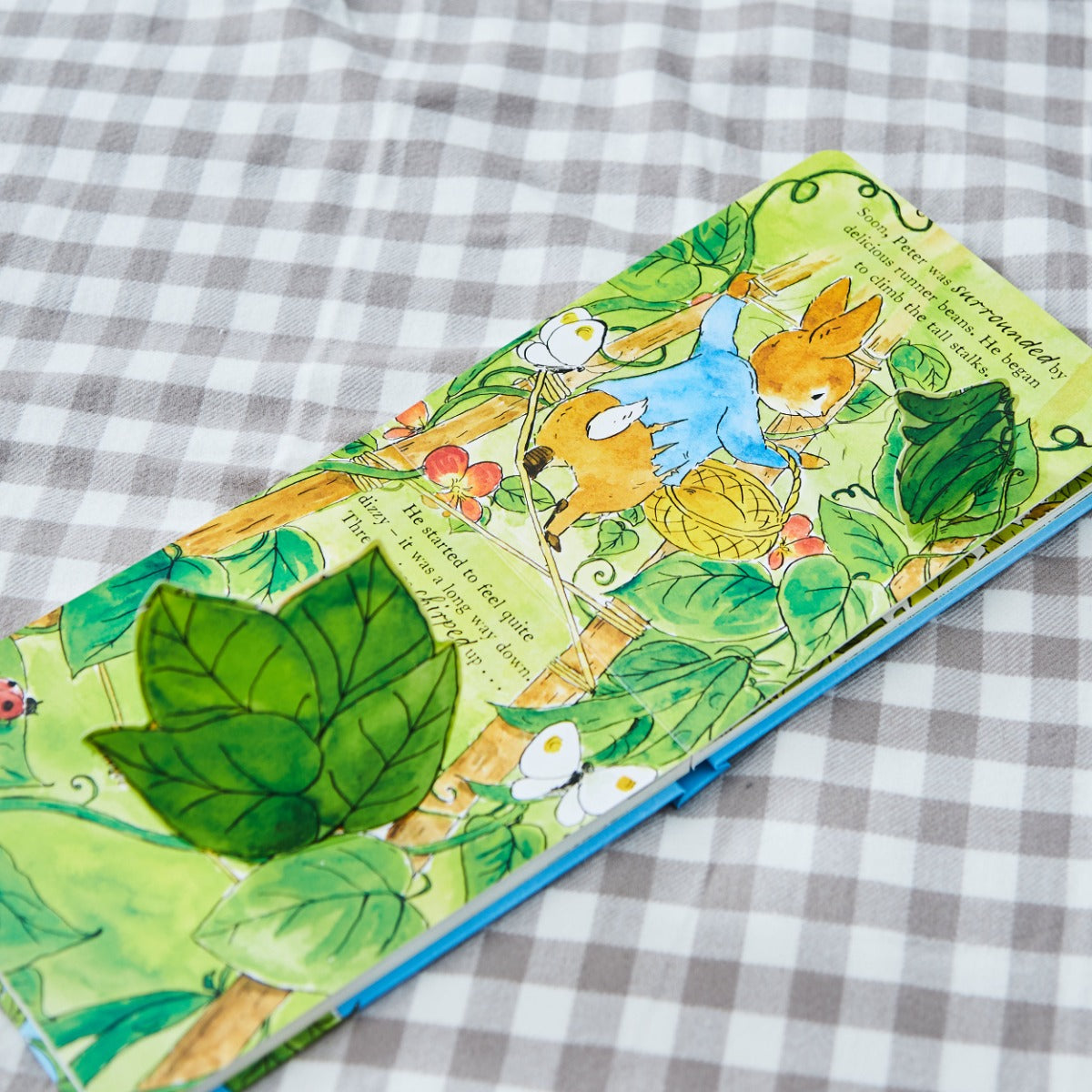 PETER RABBIT GETS STUCK BOOK BOARD BOOK (9780241709344)