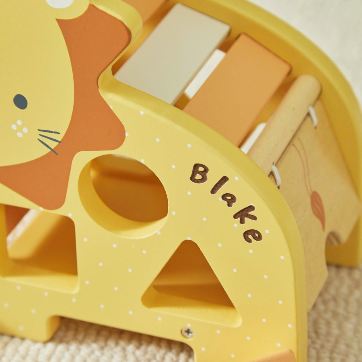 Personalised Lion Shape Sorter FSC®