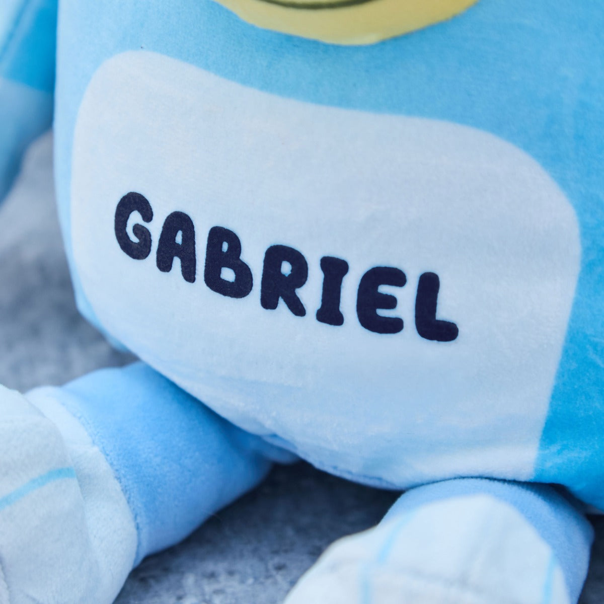 Personalised TY Bluey Medium Soft Toy