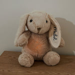 Cloud B LoveLight™ Buddies Billy Bunny™