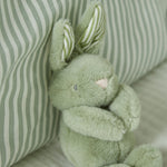 Sage Mini Bunny Soft Toy
