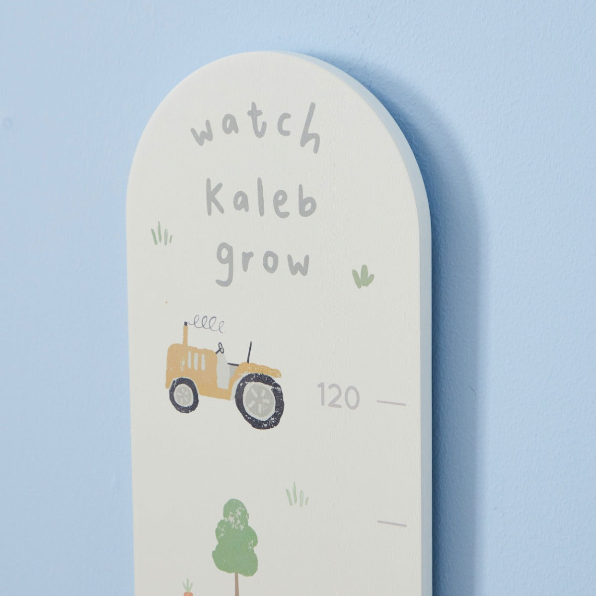 Personalised Fun On The Farm Height Chart FSC®