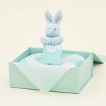 Gift Card and Blue Mini Bunny Gift Set