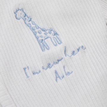 Personalised Home From The Hospital Blue Giraffe Gift Set 