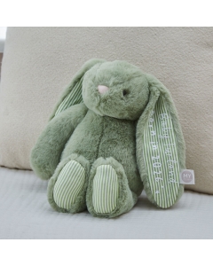 Personalised Born in 2026 Sage Bunny