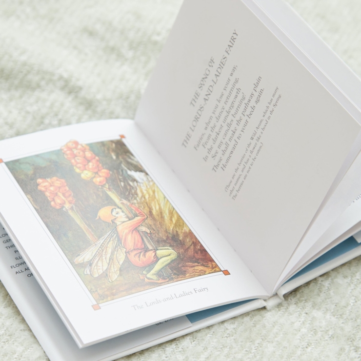 Flower Fairies of The Winter Book
