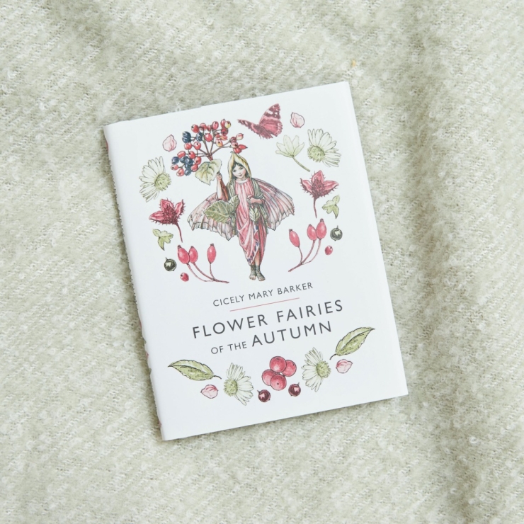 Flower Fairies of The Autumn Book