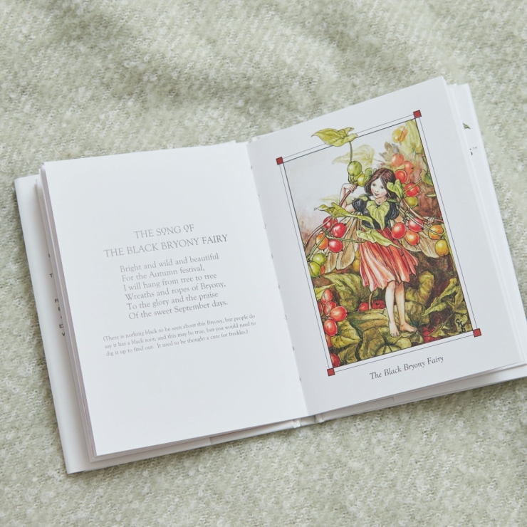 Flower Fairies of The Autumn Book