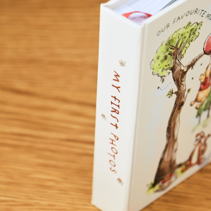 Winnie the Pooh My First Photos Album