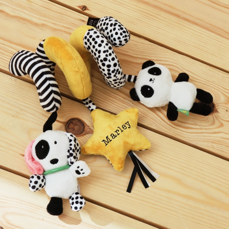 Personalized Mini Mono Spiral Activity Toy