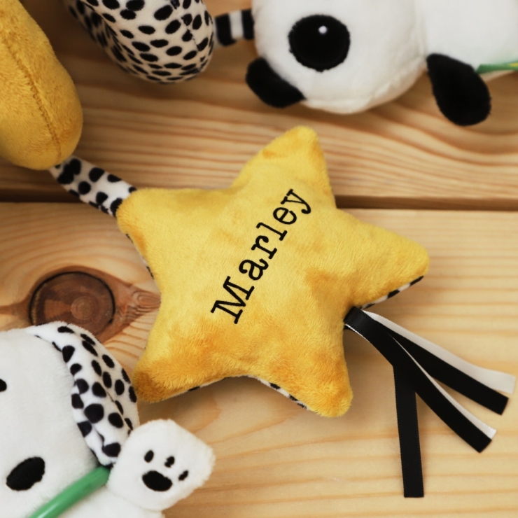 Personalized Mini Mono Spiral Activity Toy