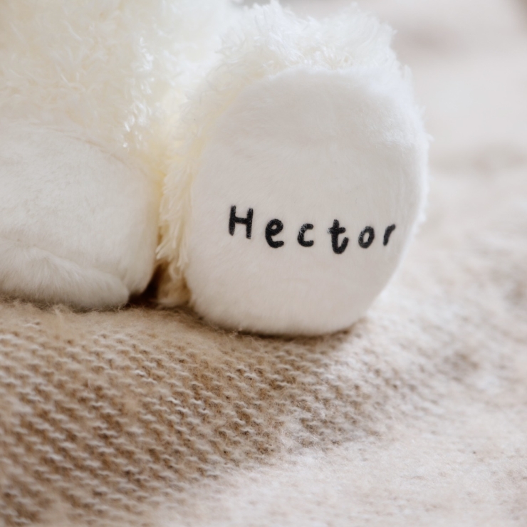 Personalized Lamb Soft Toy