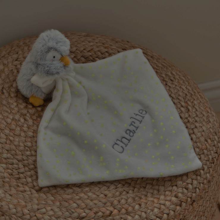 Personalised Penguin Comforter