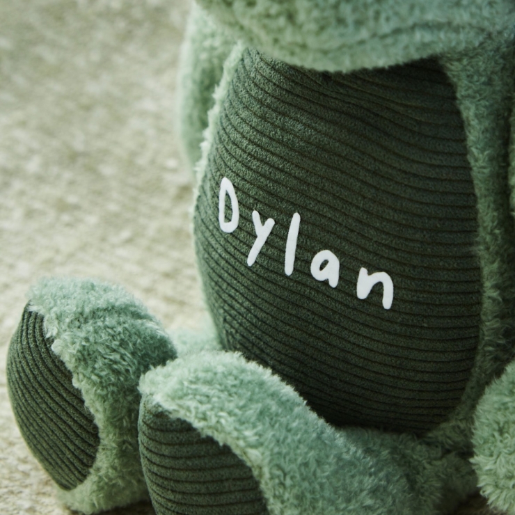Personalized Green Dinosaur Plush Toy 