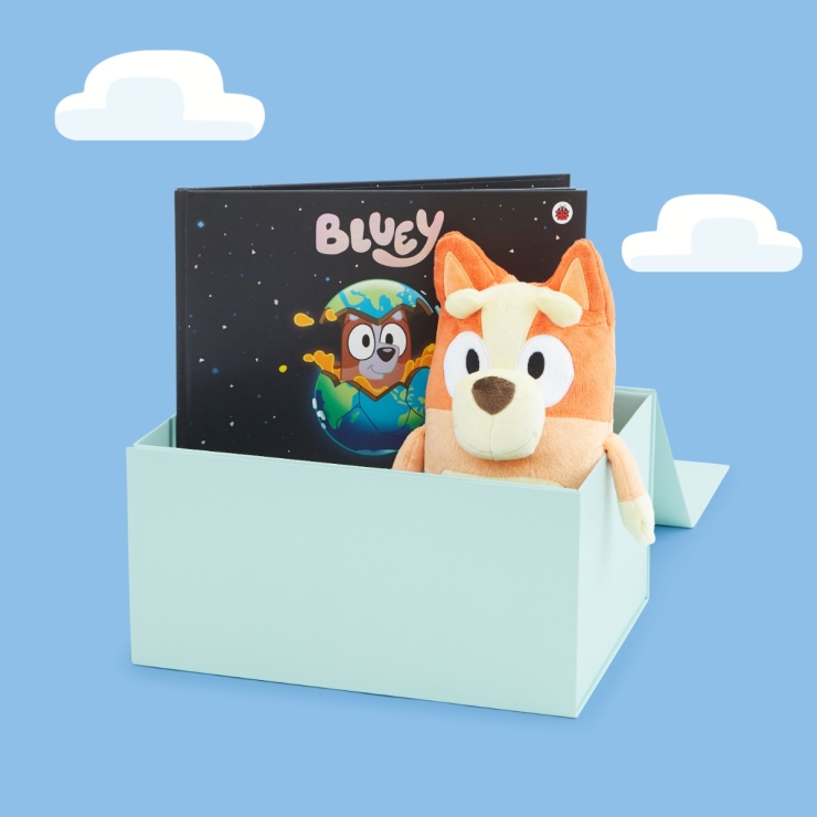Personalised Bingo Bedtime Story Gift Set