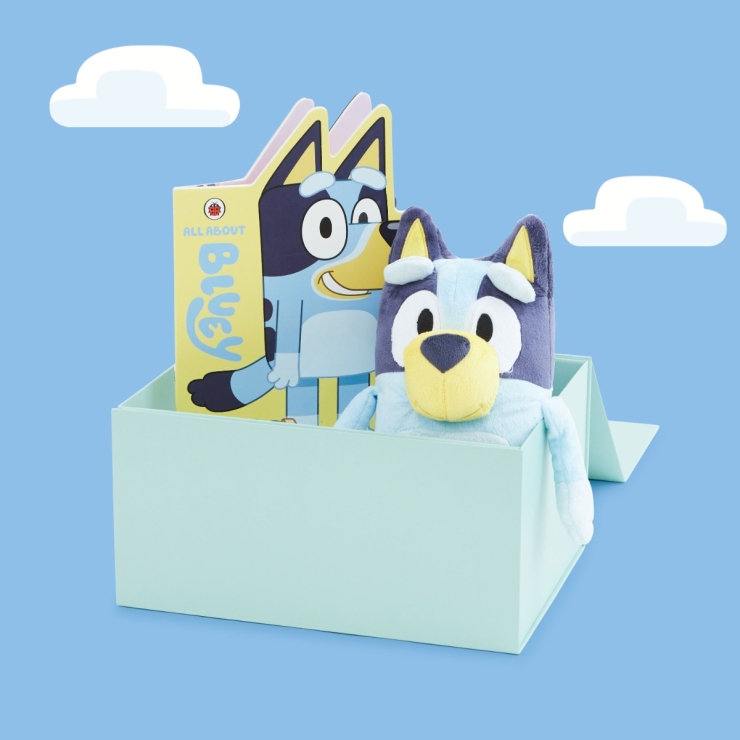 Personalised Bluey Bedtime Story Gift Set