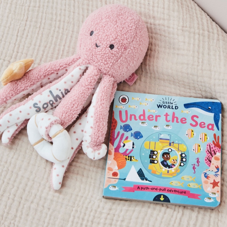 Personalised Under the Sea Read & Cuddle Gift Set