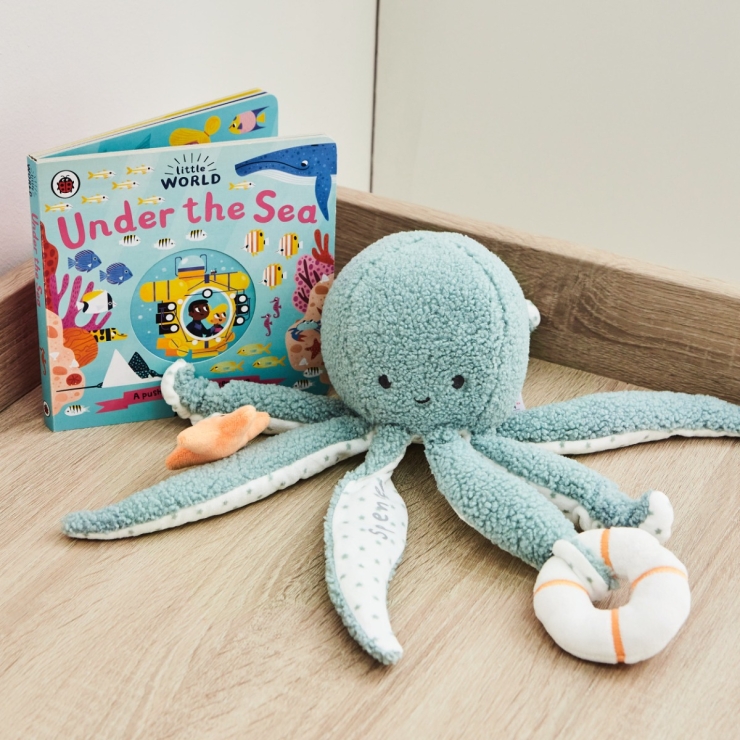 Personalised Under the Sea Read & Cuddle Gift Set