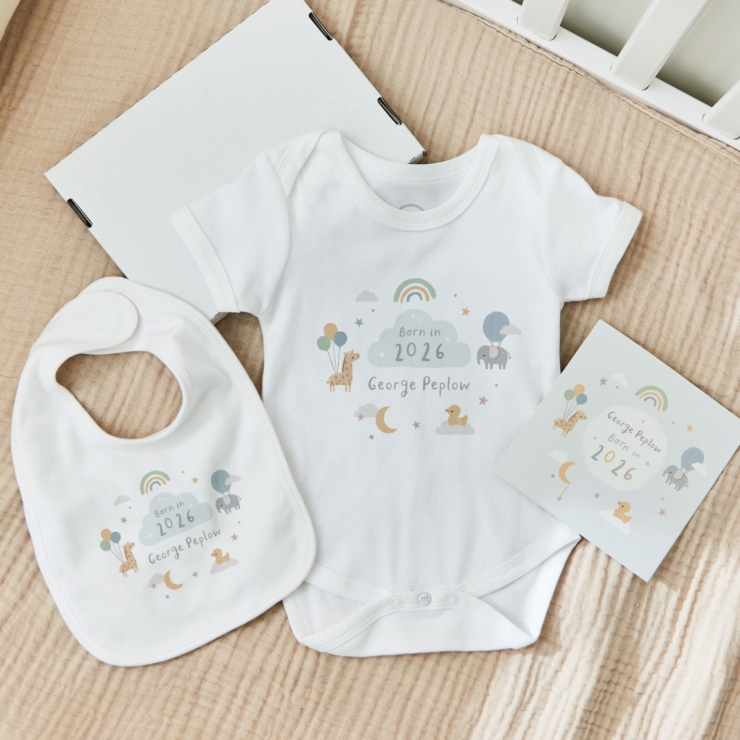 Personalised Born In 2026 Animal Letterbox Gift Set 