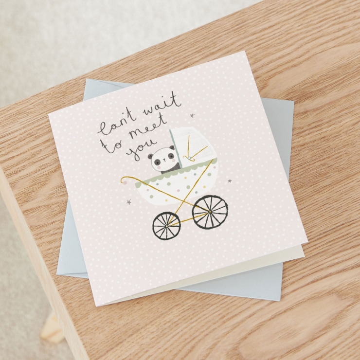 Personalised Panda Design New Baby Greetings Card 
