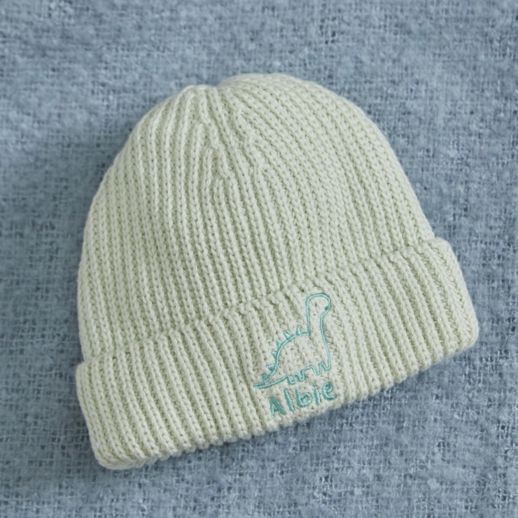 Personalized Dino Design Sage Beanie