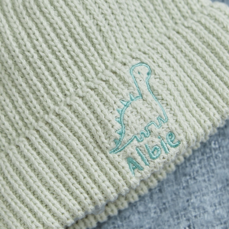 Personalized Dino Design Sage Beanie