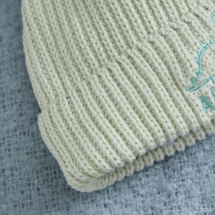Personalized Dino Design Sage Beanie